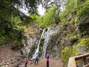 Big Sur - Pfeiffer Falls